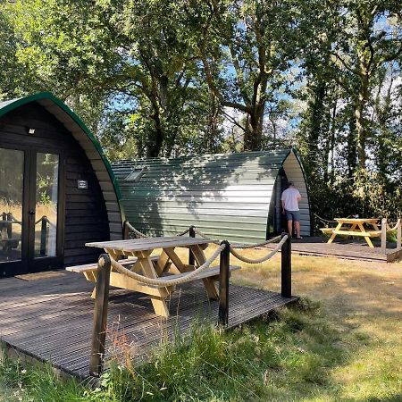 Nightjar Cabin At Cloudshill Glade 威尔汉姆 外观 照片