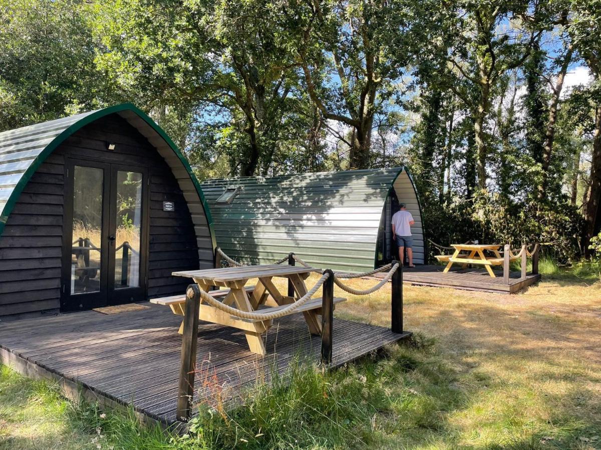 Nightjar Cabin At Cloudshill Glade 威尔汉姆 外观 照片