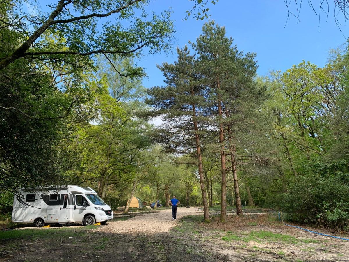 Nightjar Cabin At Cloudshill Glade 威尔汉姆 外观 照片